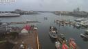 ./images/victoria/wharf/20200228/wharf20200228_152950.jpg