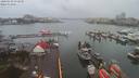 ./images/victoria/wharf/20200302/wharf20200302_072950.jpg