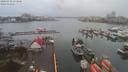 ./images/victoria/wharf/20200302/wharf20200302_073956.jpg
