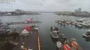 ./images/victoria/wharf/20200302/wharf20200302_074952.jpg