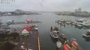 ./images/victoria/wharf/20200302/wharf20200302_075455.jpg
