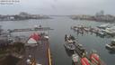 ./images/victoria/wharf/20200302/wharf20200302_081456.jpg