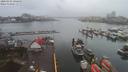 ./images/victoria/wharf/20200302/wharf20200302_085959.jpg
