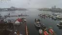 ./images/victoria/wharf/20200302/wharf20200302_091950.jpg
