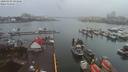 ./images/victoria/wharf/20200302/wharf20200302_092956.jpg