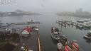 ./images/victoria/wharf/20200302/wharf20200302_095952.jpg