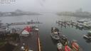 ./images/victoria/wharf/20200302/wharf20200302_101449.jpg