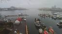 ./images/victoria/wharf/20200302/wharf20200302_102455.jpg