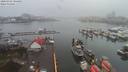 ./images/victoria/wharf/20200302/wharf20200302_103952.jpg