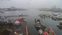 ./images/victoria/wharf/20200302/wharf20200302_104455.jpg