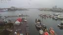 ./images/victoria/wharf/20200302/wharf20200302_112958.jpg