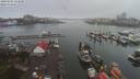 ./images/victoria/wharf/20200302/wharf20200302_120950.jpg