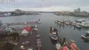 ./images/victoria/wharf/20200302/wharf20200302_140449.jpg