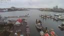 ./images/victoria/wharf/20200302/wharf20200302_140952.jpg