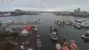 ./images/victoria/wharf/20200302/wharf20200302_141958.jpg