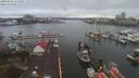 ./images/victoria/wharf/20200302/wharf20200302_151456.jpg