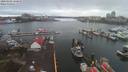 ./images/victoria/wharf/20200302/wharf20200302_155949.jpg