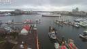 ./images/victoria/wharf/20200302/wharf20200302_160452.jpg