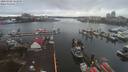 ./images/victoria/wharf/20200302/wharf20200302_161458.jpg