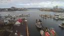 ./images/victoria/wharf/20200303/wharf20200303_094455.jpg