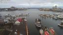 ./images/victoria/wharf/20200303/wharf20200303_094958.jpg