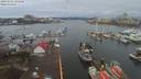 ./images/victoria/wharf/20200303/wharf20200303_100948.jpg
