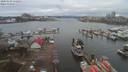 ./images/victoria/wharf/20200303/wharf20200303_111954.jpg