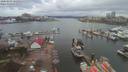 ./images/victoria/wharf/20200303/wharf20200303_125456.jpg