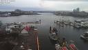 ./images/victoria/wharf/20200303/wharf20200303_162457.jpg