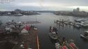 ./images/victoria/wharf/20200303/wharf20200303_164951.jpg