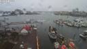 ./images/victoria/wharf/20200305/wharf20200305_145451.jpg