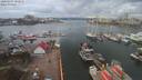./images/victoria/wharf/20200307/wharf20200307_101958.jpg