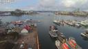 ./images/victoria/wharf/20200307/wharf20200307_105950.jpg