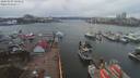 ./images/victoria/wharf/20200307/wharf20200307_133959.jpg