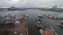 ./images/victoria/wharf/20200307/wharf20200307_134451.jpg
