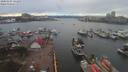 ./images/victoria/wharf/20200307/wharf20200307_140453.jpg