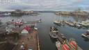 ./images/victoria/wharf/20200308/wharf20200308_112458.jpg