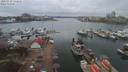 ./images/victoria/wharf/20200310/wharf20200310_131956.jpg