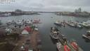 ./images/victoria/wharf/20200310/wharf20200310_133957.jpg