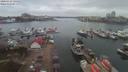 ./images/victoria/wharf/20200310/wharf20200310_134450.jpg