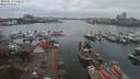 ./images/victoria/wharf/20200310/wharf20200310_135958.jpg
