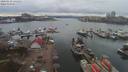 ./images/victoria/wharf/20200310/wharf20200310_144955.jpg