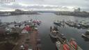 ./images/victoria/wharf/20200310/wharf20200310_151952.jpg