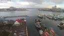 ./images/victoria/wharf/20200312/wharf20200312_080454.jpg