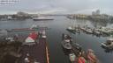 ./images/victoria/wharf/20200312/wharf20200312_094455.jpg