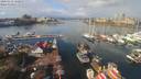 ./images/victoria/wharf/20200312/wharf20200312_115956.jpg