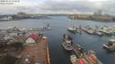 ./images/victoria/wharf/20200313/wharf20200313_111952.jpg