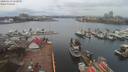 ./images/victoria/wharf/20200313/wharf20200313_115954.jpg