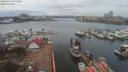 ./images/victoria/wharf/20200313/wharf20200313_120447.jpg