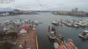 ./images/victoria/wharf/20200313/wharf20200313_121453.jpg